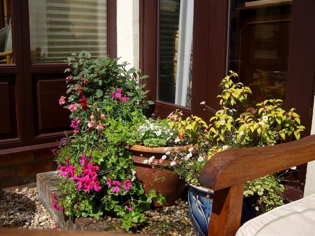 Weston Cottage Poole Luaran gambar